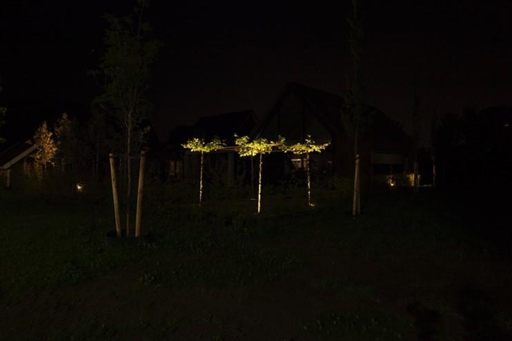 ergens in een tuin, aangelichte bomen. Deze zijn van verre de hele nacht zichtbaar.