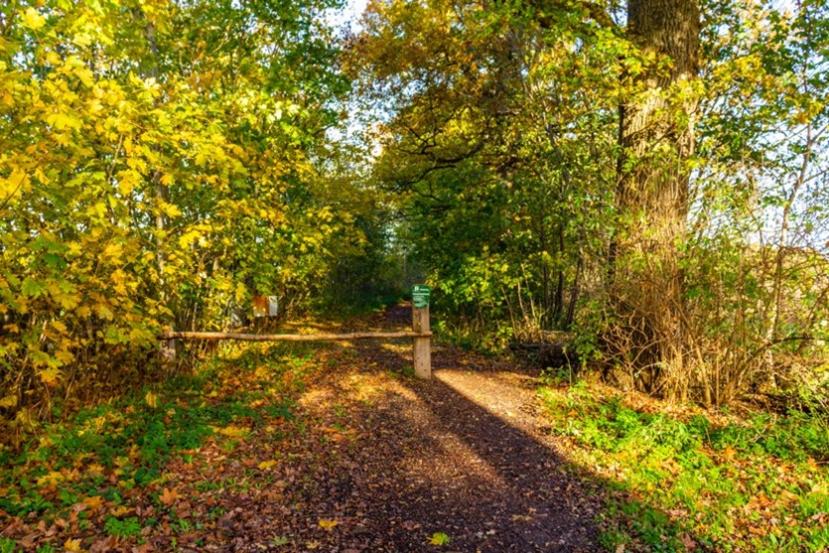 Mariënwaerdt in Beesd. Prachtig gebied waar geen verlichting staat en ook niet mag komen te staan. Zo beschermen we de flora en fauna.