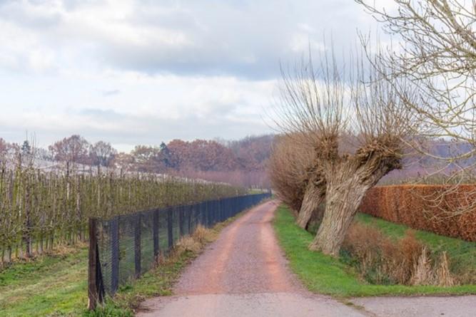 Recreatief fietspad in Deil. Niet verlicht.