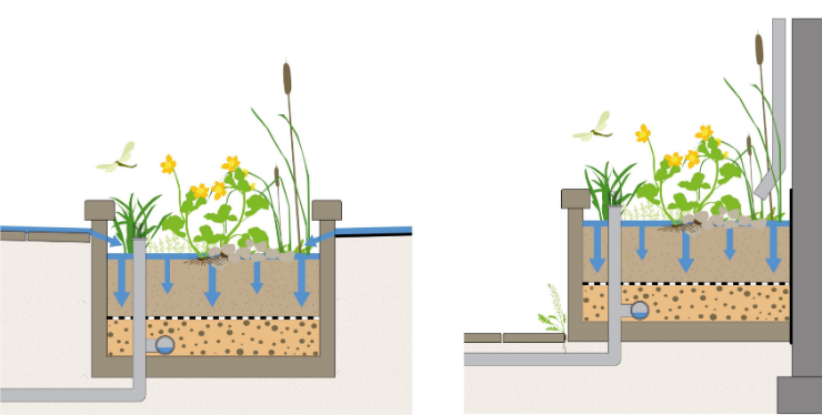 Doorsnede tekening van twee watervasthoudende plantenbakken